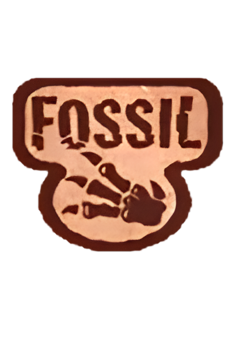 Fossil