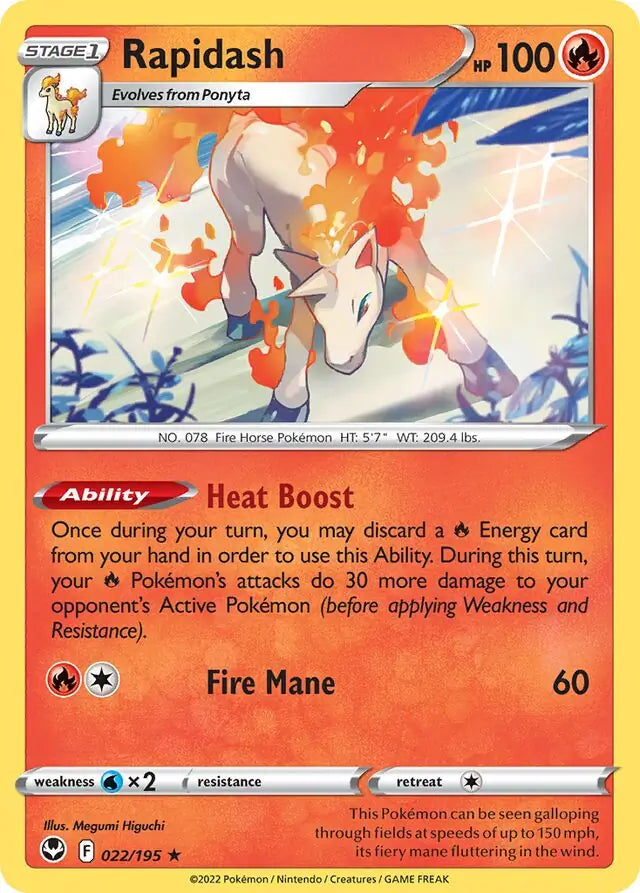 Rapidash 022