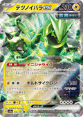 056/187 Iron Thorns ex