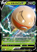 005/172 Hisuian Electrode V