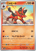 021/071 Torracat