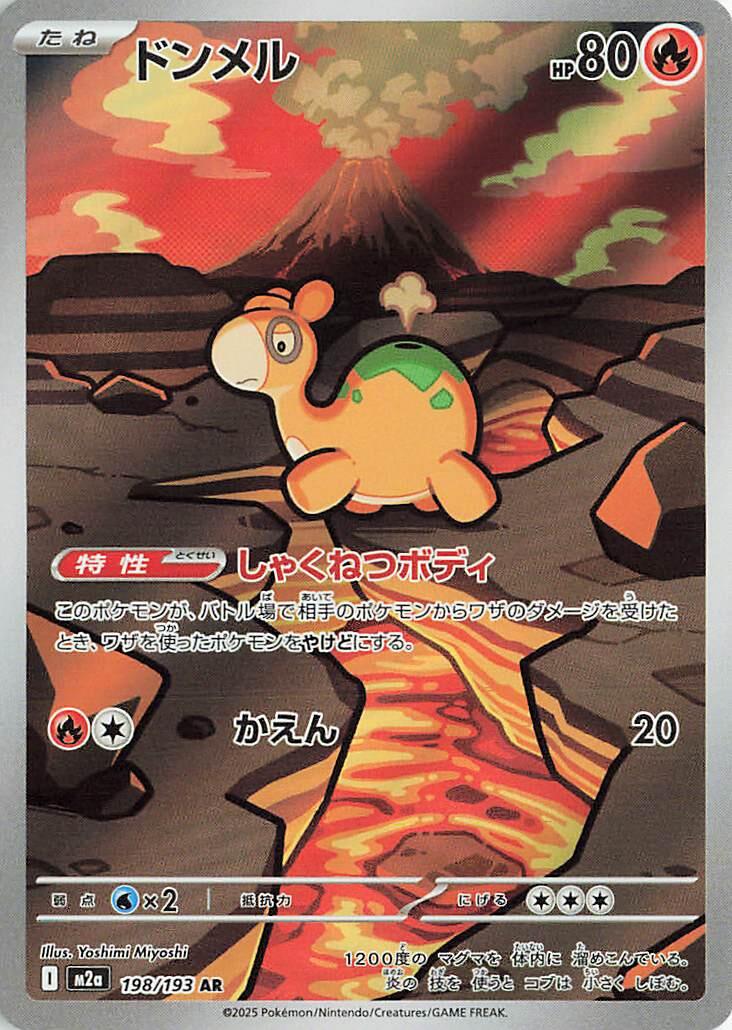 198/193 Numel