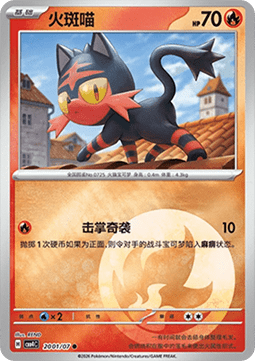 20/07 Litten