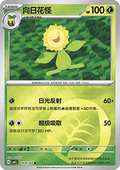 06/07 Sunflora