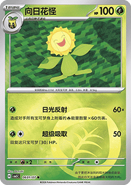 06/07 Sunflora