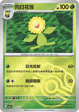06/07 Sunflora