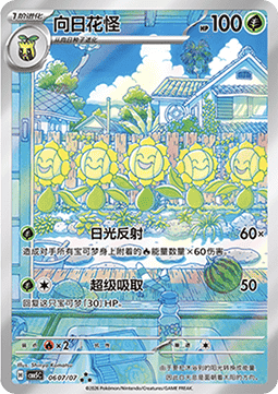 06/07 Sunflora
