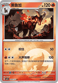 08/07 Houndoom