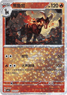 08/07 Houndoom