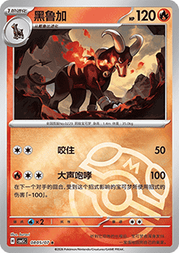08/07 Houndoom