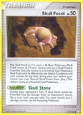 117/123 Skull Fossil