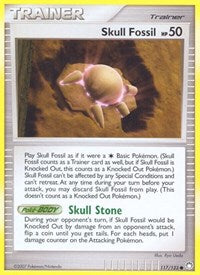 117/123 Skull Fossil