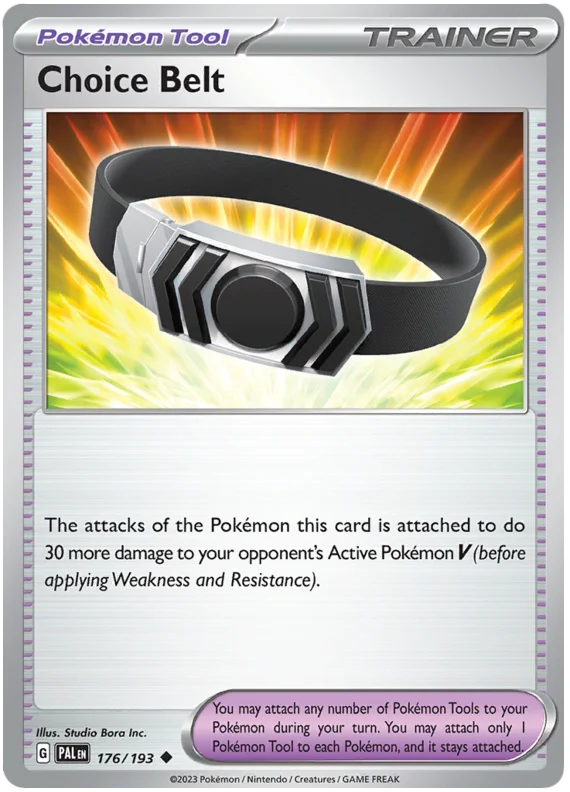 Choice Belt 176/193
