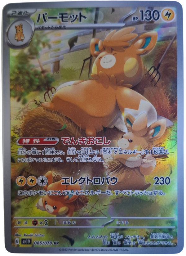 085/078 Pawmot