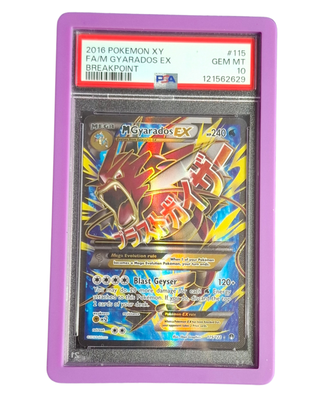 PSA 10 Gem Mint M Gyarados EX