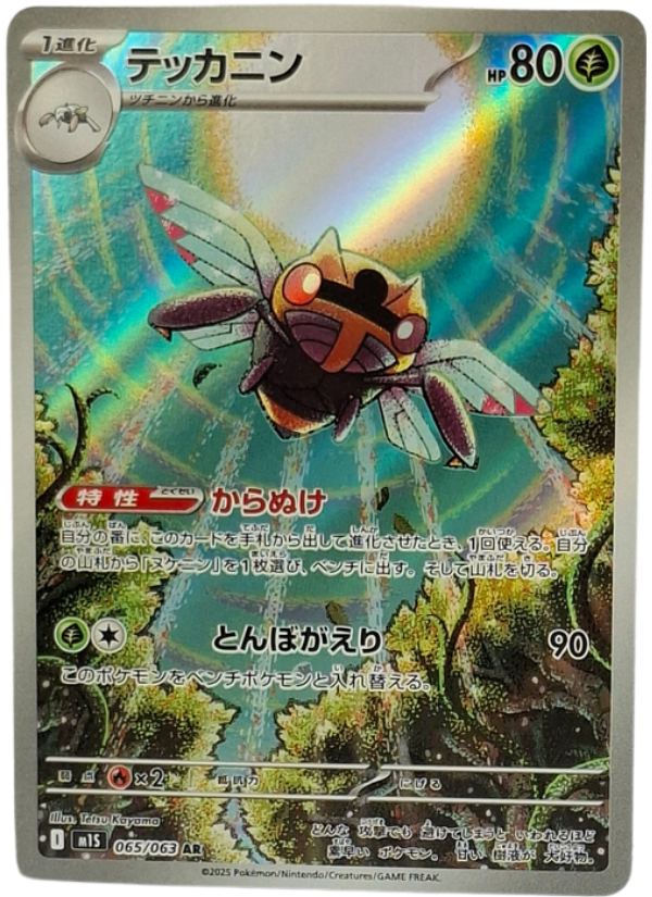 065/063 Ninjask