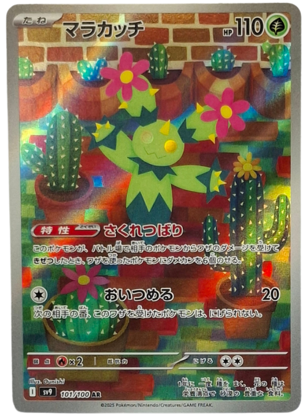 101/100 Maractus