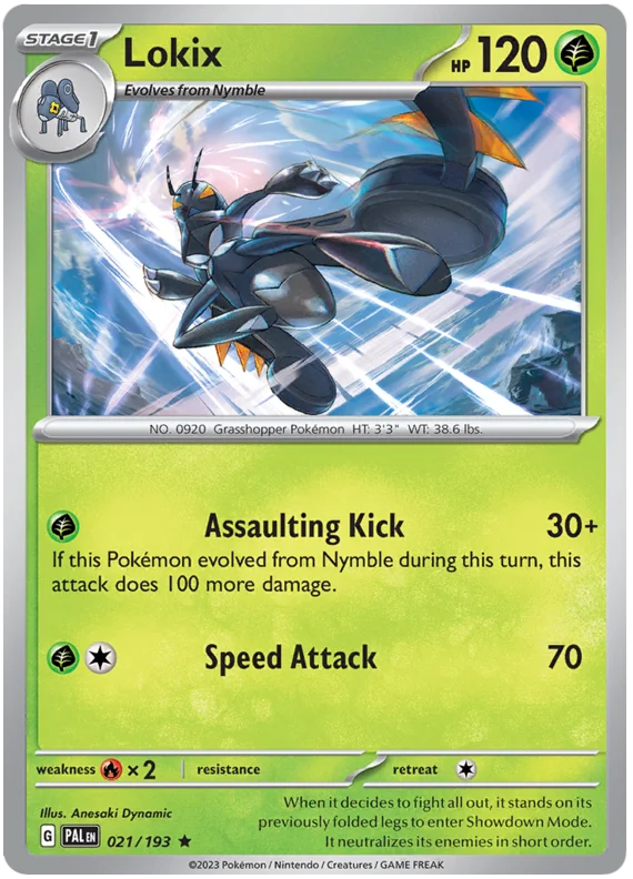 Lokix 21/193