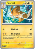 Pawmot 76/193