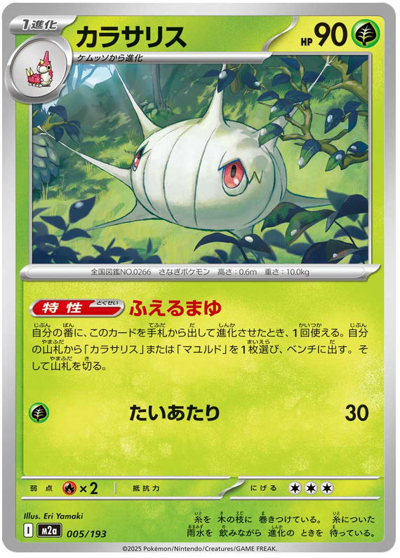 005/193 Silcoon