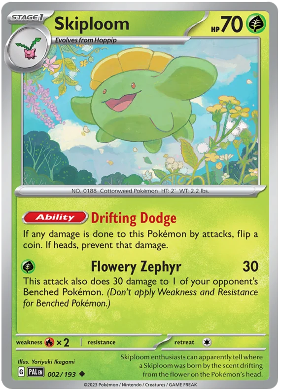 Skiploom 2/193