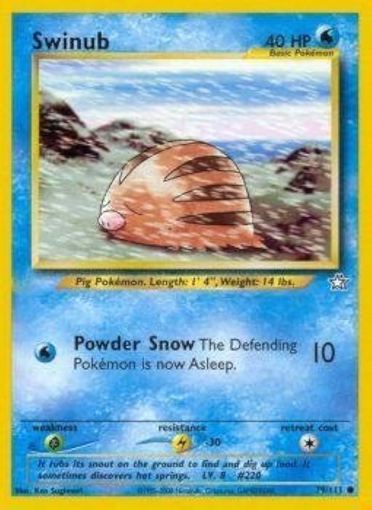 79/111 Swinub
