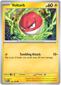 Voltorb 100/165