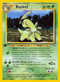 029/111 Bayleef