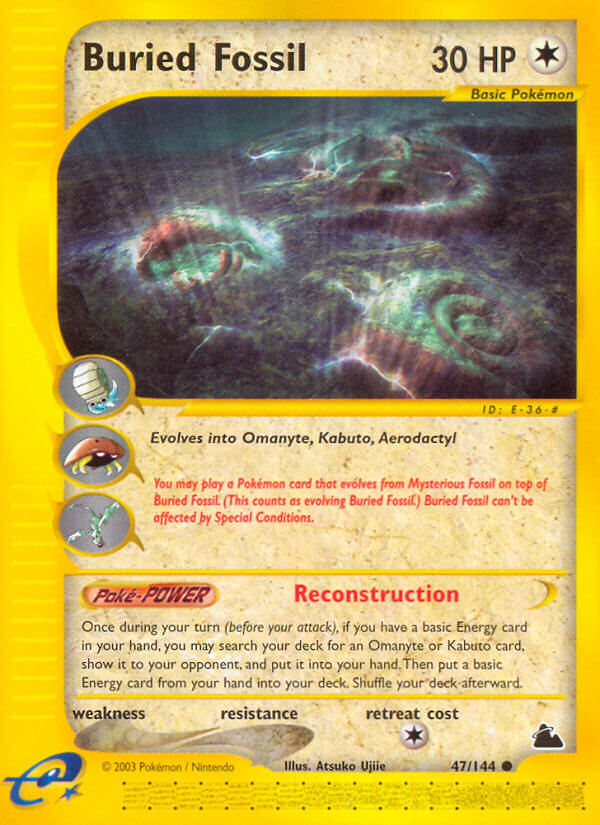 047/144 Buried Fossil