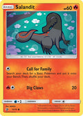 013/70 Salandit