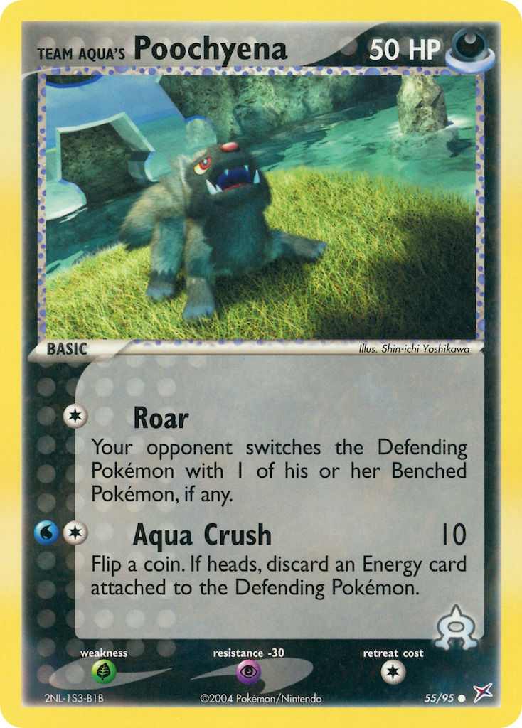 55/95 Team Aqua's Poochyena