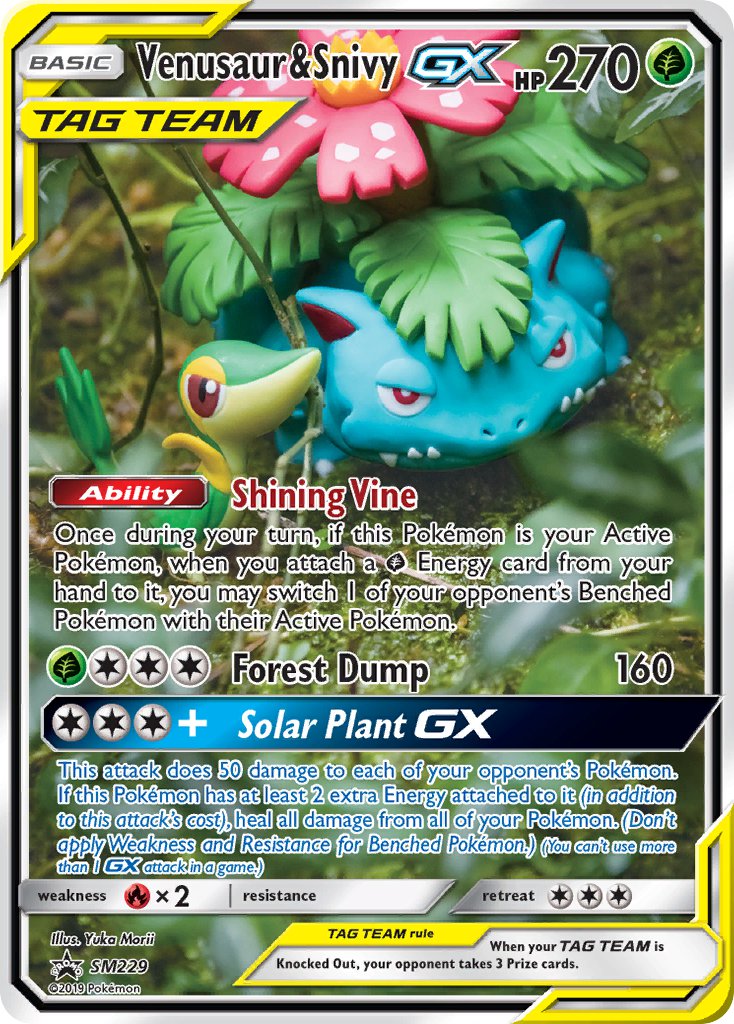 SM229 Venusaur & Snivy GX