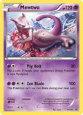 XY101 Mewtwo