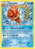 XY109 Gyarados