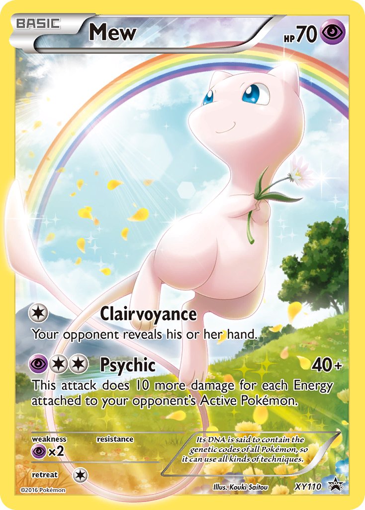 XY110 Mew
