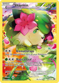 XY115 Shaymin