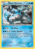 XY160 Black Kyurem
