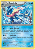 XY162 Greninja