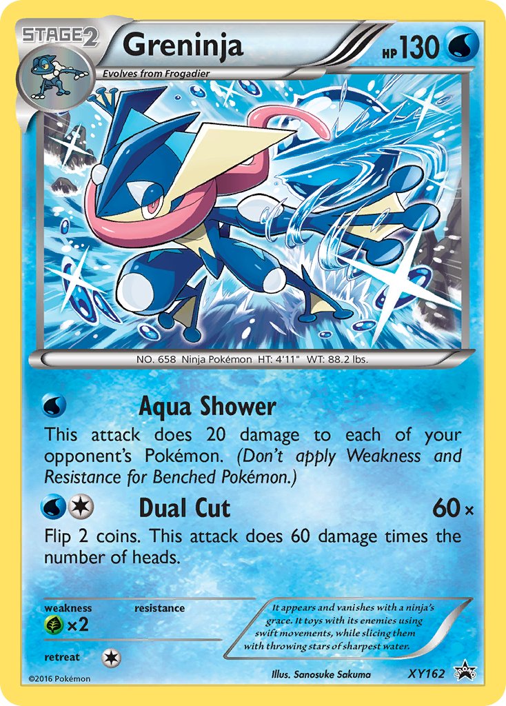 XY162 Greninja