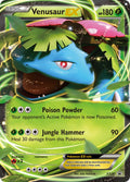 XY028 Venusaur EX