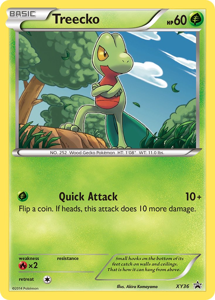XY036 Treecko