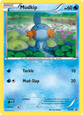 XY038 Mudkip
