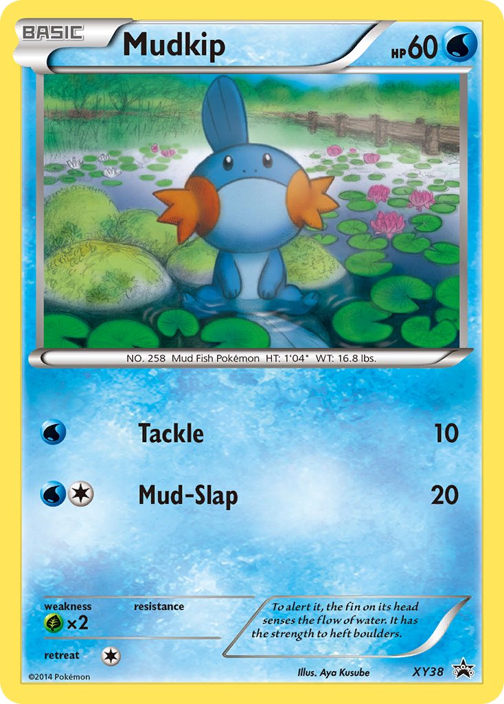 XY038 Mudkip