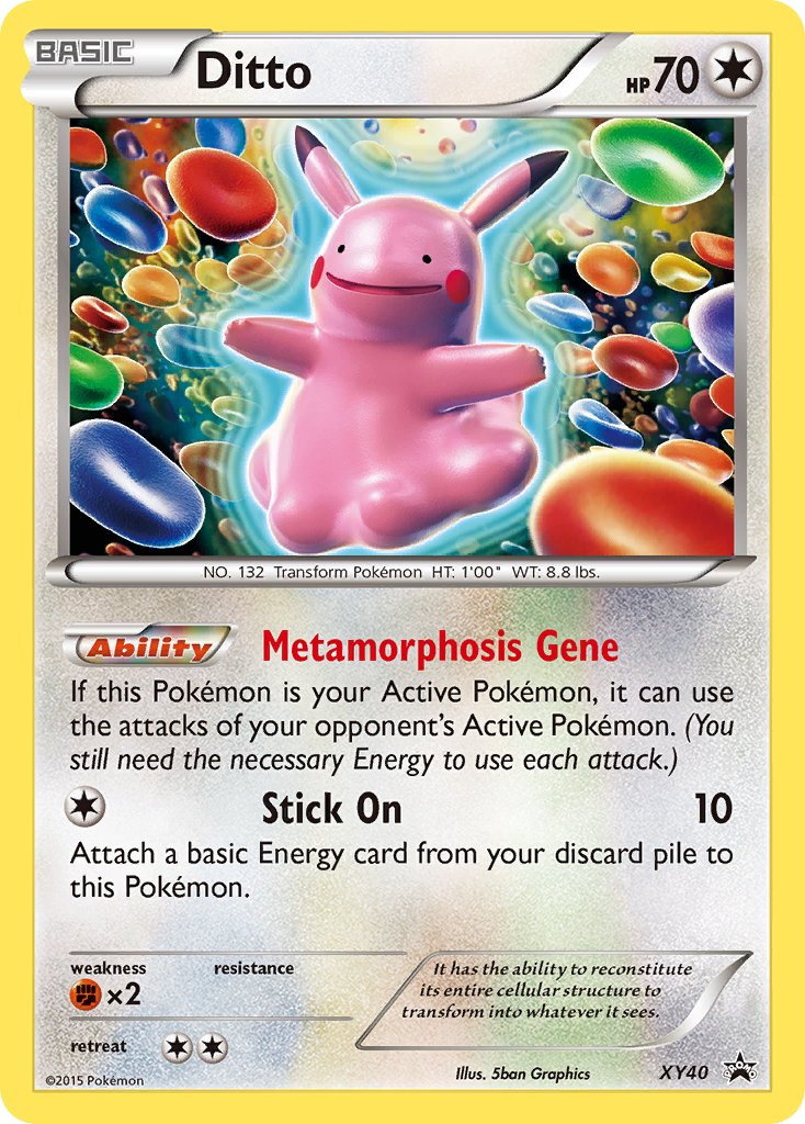 XY040 Ditto