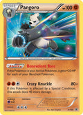 XY050 Pangoro