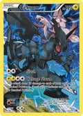 XY076 Zekrom
