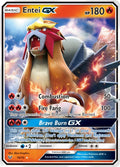 010/73 Entei GX