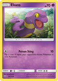 036/73 Ekans