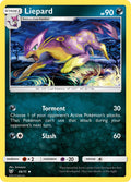 049/73 Liepard