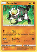073/149 Passimian